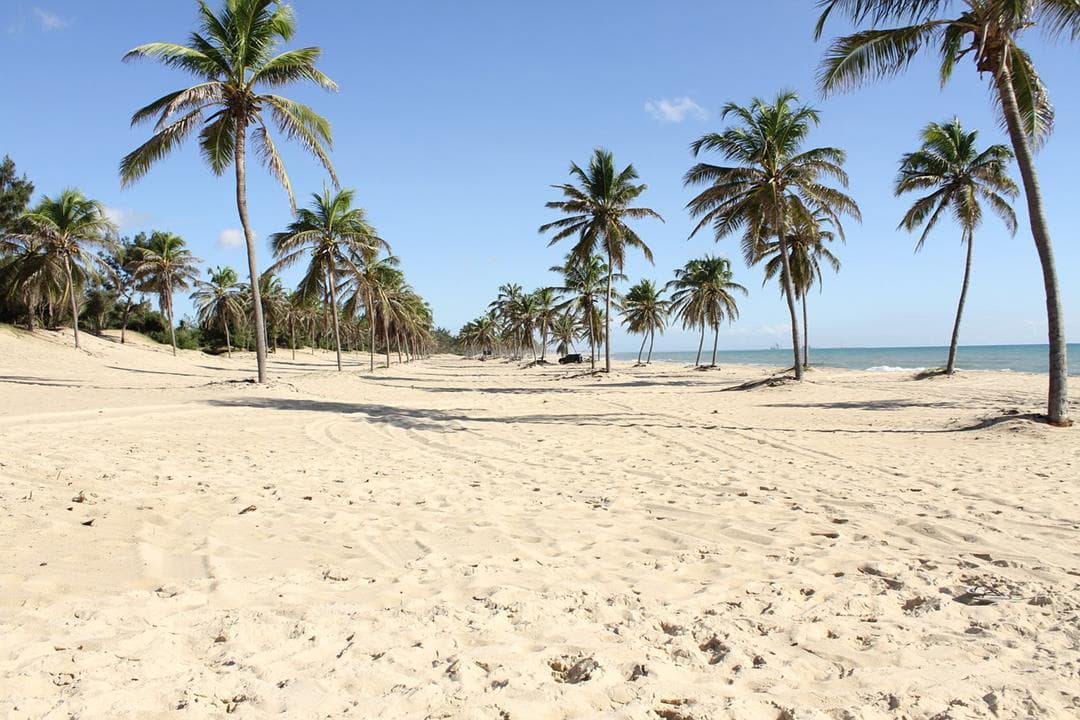 Fortaleza, Ceará Fortaleza, Ceará