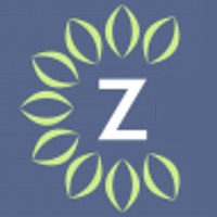 Zulily